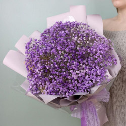 Букет из 5 фиолетовых гипсофил